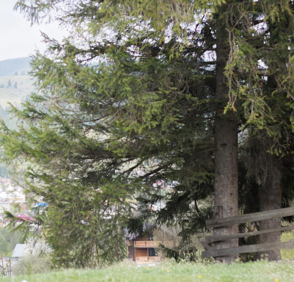 Karpatska Oselia Villa Verkhovyna Luaran gambar