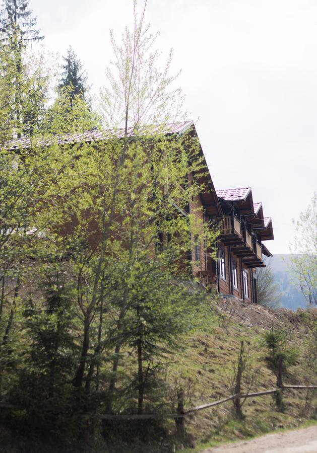 Karpatska Oselia Villa Verkhovyna Luaran gambar