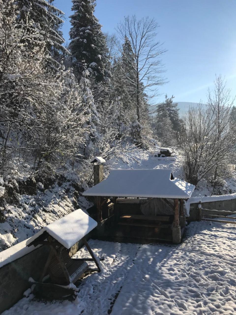 Karpatska Oselia Villa Verkhovyna Luaran gambar