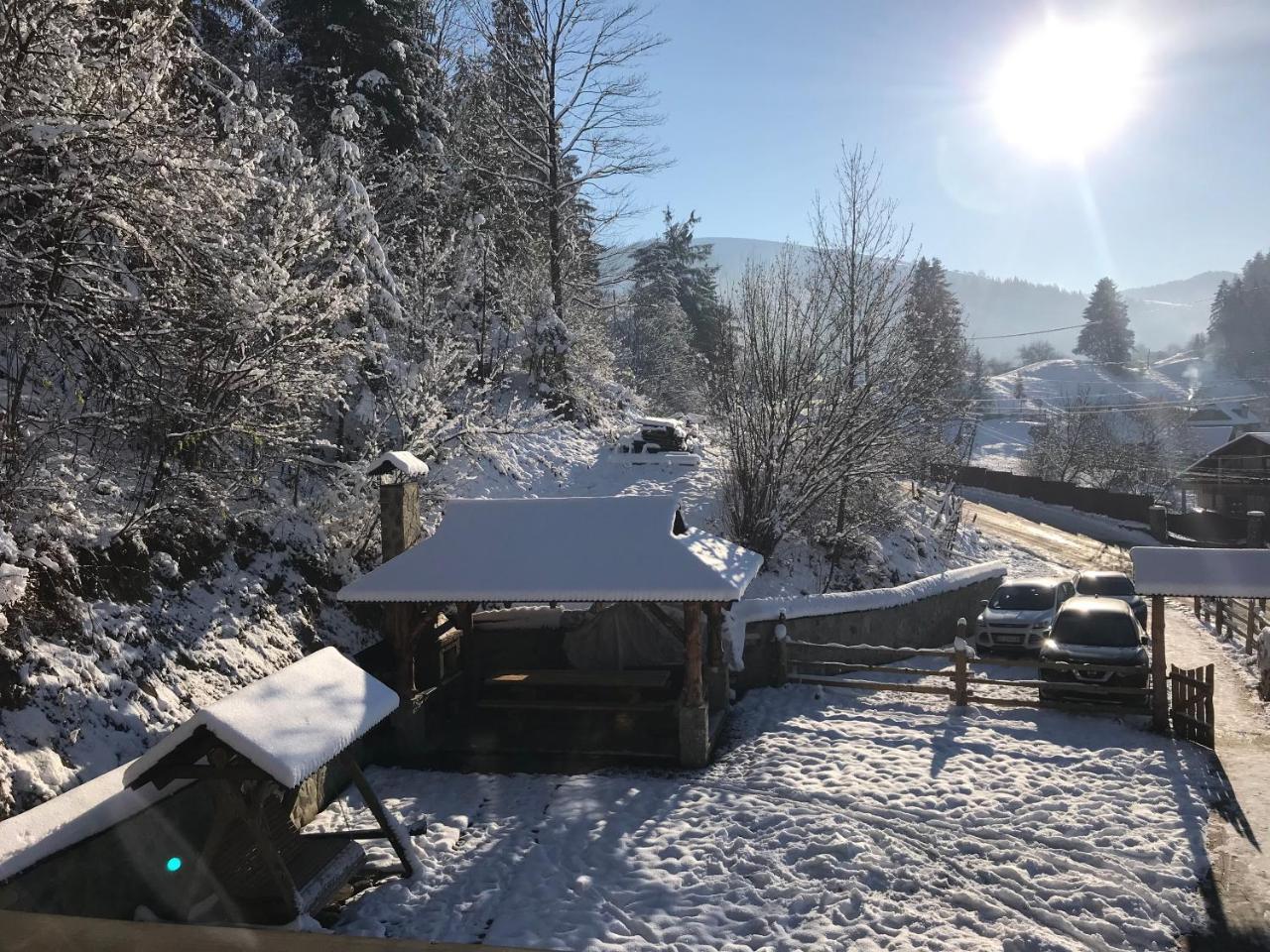 Karpatska Oselia Villa Verkhovyna Luaran gambar